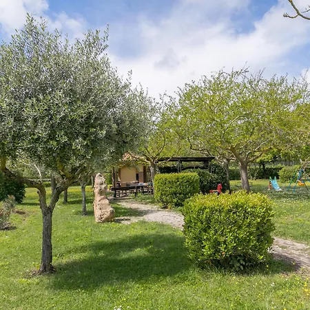 Farma Il Girasole - Cappero *